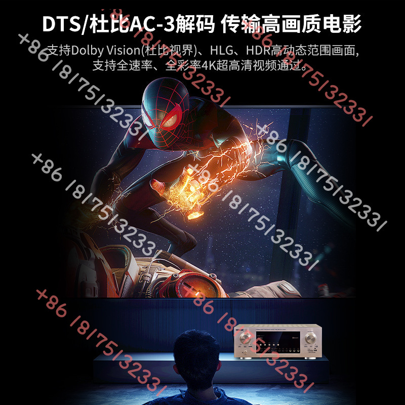 DMSEINC Audiophile AV-999 Prof – Home Cinema Amplifier recenzja i cena