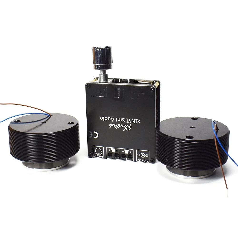 1 Set 50W 2.0 HIFI Vibration S – Home Cinema Amplifier recenzja i cena