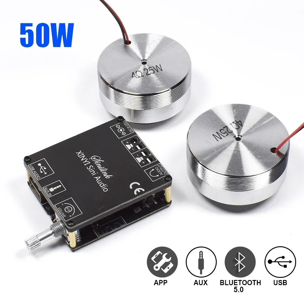 2*25W Portable Stereo Vibratio – Home Cinema Amplifier recenzja i cena